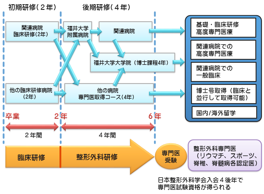 卒後教育の流れ
